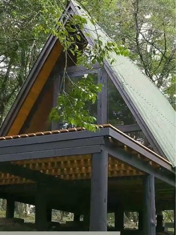 Chalé elevado com telhado verde na floresta